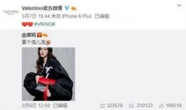 丁真全网最新爆料,揭秘全网热议背后的真实故事