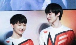 we草莓最新爆料,揭秘明星幕后故事