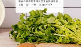 杭州减肥餐爆料案件最新,揭秘网红减肥餐背后的真相与争议